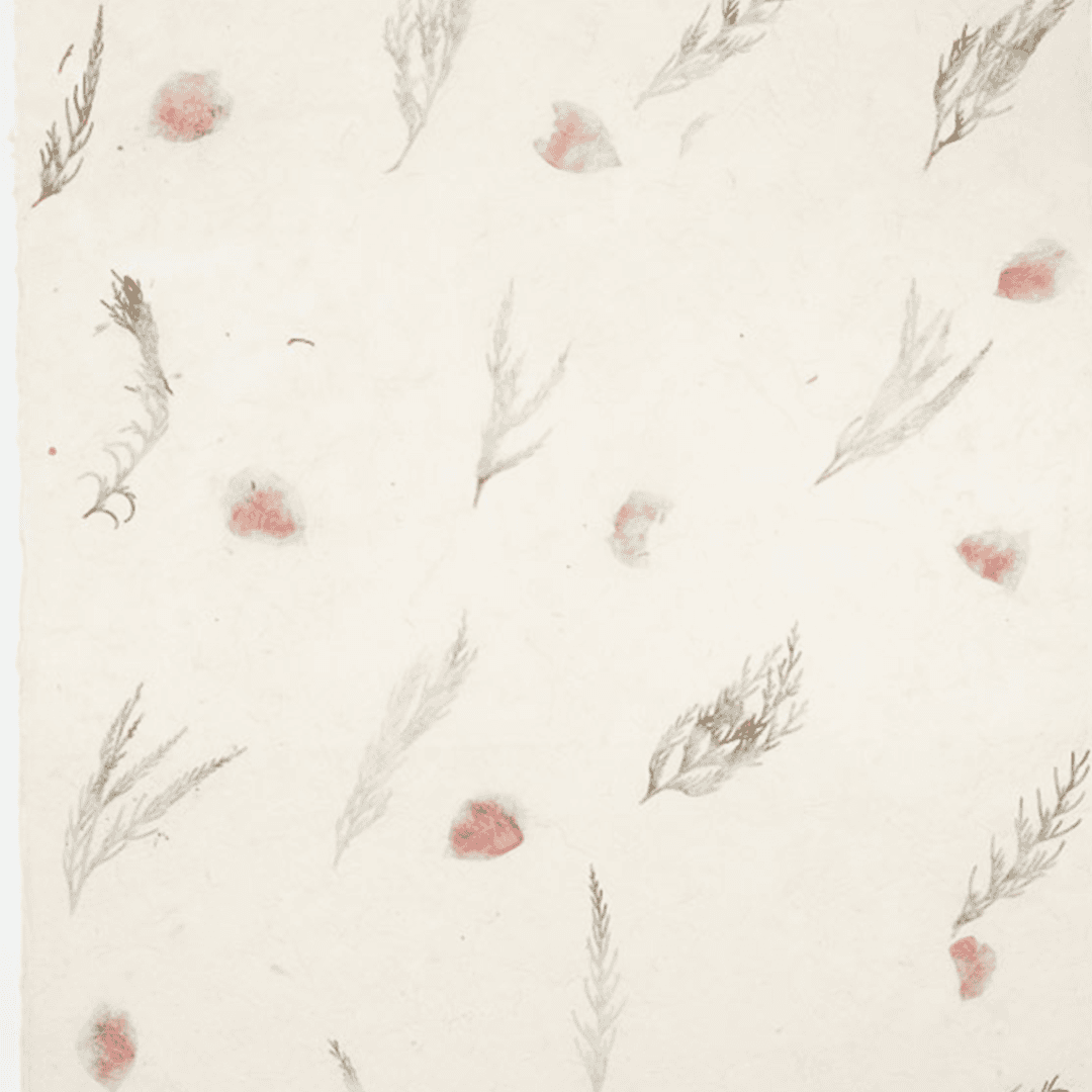 Natural Flower & Seed Paper - Image 3